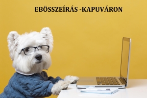 Ebösszeírás